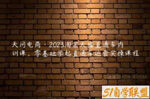 天问电商·2023淘宝天猫直通车内训课，零基础学起直通车运营实操课程-51自学联盟