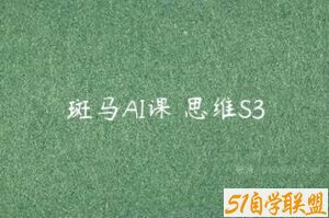 斑马AI课 思维S3-51自学联盟