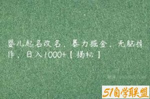 婴儿起名改名，暴力掘金，无脑操作，日入1000+【揭秘】-51自学联盟