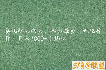 婴儿起名改名，暴力掘金，无脑操作，日入1000+【揭秘】-51自学联盟