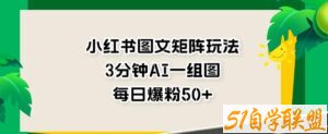 小红书图文矩阵玩法，3分钟AI一组图，每日爆粉50+【揭秘】-51自学联盟