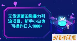 2023无货源莆田鞋暴力引流项目，新手小白也可实操日入1000+【揭秘】-51自学联盟