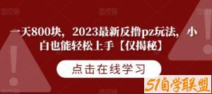 一天800块，2023最新反撸pz玩法，小白也能轻松上手【仅揭秘】-51自学联盟