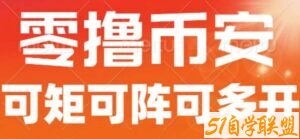 最新国外零撸小项目，目前单窗口一天可撸10+【详细玩法教程】【揭秘】-51自学联盟