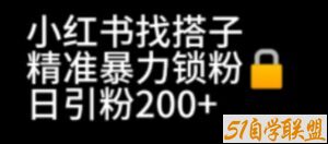 小红书找搭子暴力精准锁粉+引流日引200+精准粉-51自学联盟