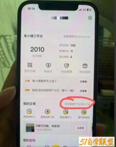 谋金优略陪怕课程闲鱼增单，一单利润200-300+目前公司盈利破10万独家玩法-51自学联盟