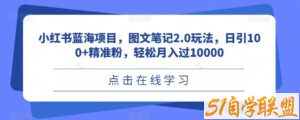 小红书蓝海项目，图文笔记2.0玩法，日引100+精准粉，轻松月入过10000【揭秘】-51自学联盟