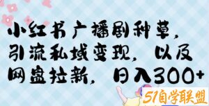 小红书种草广播剧，引流私域做网盘拉新，或售卖合集变现【揭秘】-51自学联盟