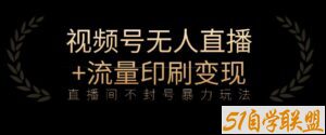 全网首发视频号不封号无人直播暴利玩法+流量印刷机变现，日入1000+【揭秘】-51自学联盟