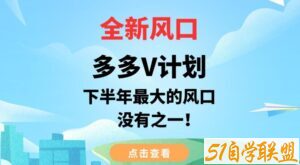 全新风口，多多V计划，下半年最大的风口项目，没有之一【揭秘】-51自学联盟