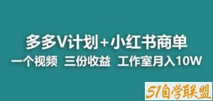 【蓝海项目】多多v计划+小红书商单一个视频三份收益工作室月入10w-51自学联盟