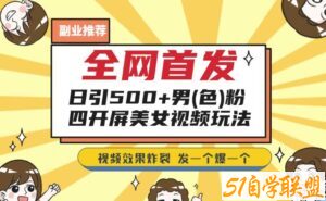 全网首发，日引500+男粉美女视频四开屏玩法，发一个爆一个【揭秘】-51自学联盟