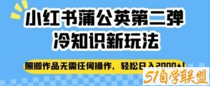 小红书蒲公英第二弹冷知识新玩法，照搬作品无需任何操作，轻松日入2000+【揭秘】-51自学联盟