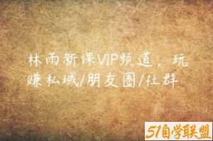 林雨新课VIP频道，玩赚私域/朋友圈/社群-51自学联盟