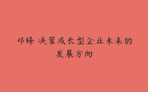 邓锋 决策成长型企业未来的发展方向百度网盘下载