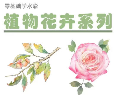 【缺课】吴小迪2022水彩植物花卉美食系统课【画质高清只有视频】-设计师圈子-课程资源-51自学联盟