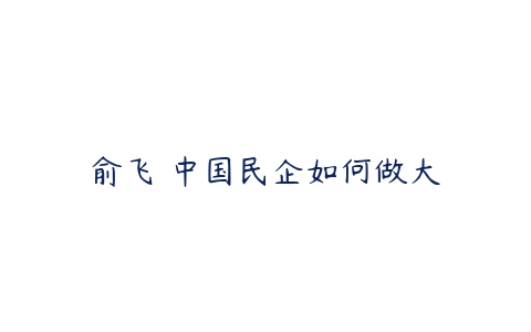 俞飞 中国民企如何做大百度网盘下载