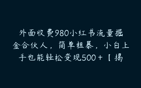 外面收费980小红书流量掘金合伙人，简单粗暴，小白上手也能轻松变现500＋【揭秘】百度网盘下载