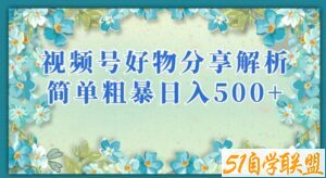 视频号好物分享解析，简单粗暴可以批量方大的项目【揭秘】-51自学联盟