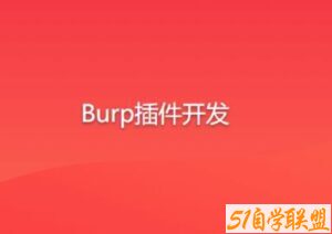 Burp插件开发-51自学联盟