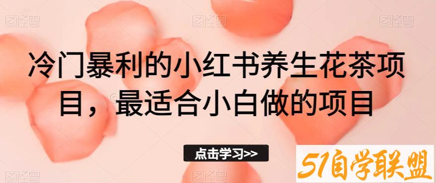 冷门暴利的小红书养生花茶项目，最适合小白做的项目【揭秘】-51自学联盟