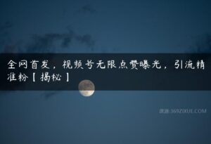 全网首发，视频号无限点赞曝光，引流精准粉【揭秘】-51自学联盟