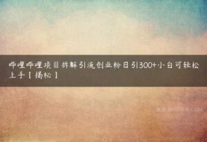 哔哩哔哩项目拆解引流创业粉日引300+小白可轻松上手【揭秘】-51自学联盟