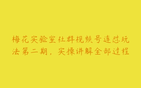 梅花实验室社群视频号连怼玩法第二期，实操讲解全部过程百度网盘下载