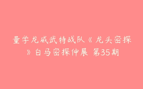 量学龙威武特战队《龙头密探》白马密探仲展 第35期百度网盘下载