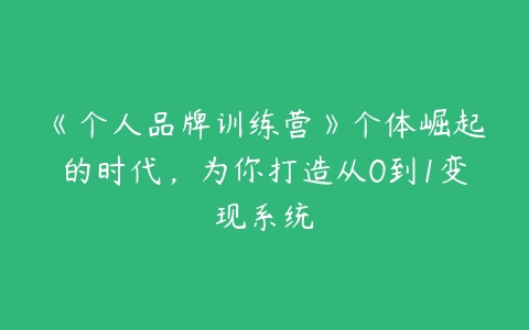 《个人品牌训练营》个体崛起的时代，为你打造从0到1变现系统百度网盘下载