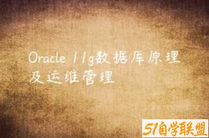 Oracle 11g数据库原理及运维管理-51自学联盟