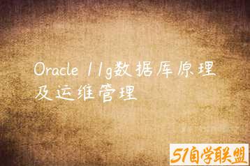 Oracle 11g数据库原理及运维管理-51自学联盟