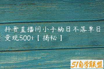 抖音直播间小手柄日不落单日变现500+【揭秘】-51自学联盟