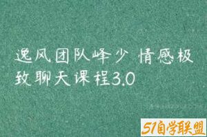 逸风团队峰少 情感极致聊天课程3.0-51自学联盟