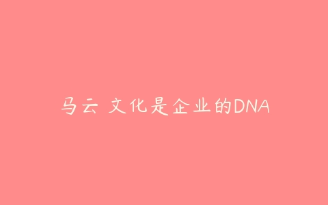 马云 文化是企业的DNA课程资源下载