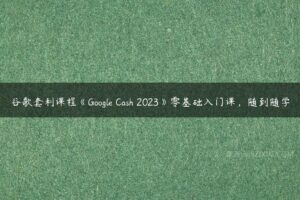 谷歌套利课程《Google Cash 2023》零基础入门课，随到随学-51自学联盟