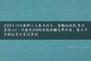 2023年10月最新小众暴力项目，靠搬运视频,单月变现1w+，外面卖598的短视频搬运黑科技，各大平台轻松百分百过原创-51自学联盟