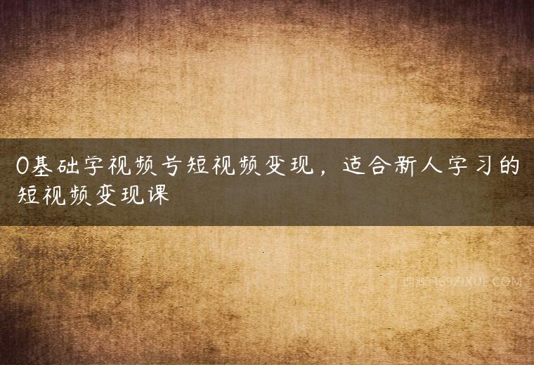 0基础学视频号短视频变现，适合新人学习的短视频变现课百度网盘下载