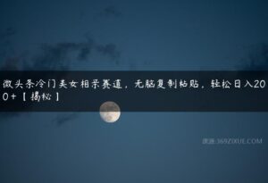 微头条冷门美女相亲赛道，无脑复制粘贴，轻松日入200＋【揭秘】-51自学联盟