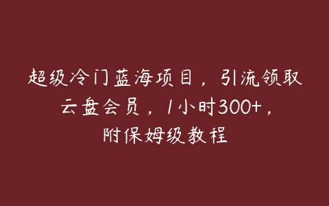 图片[1]-超级冷门蓝海项目，引流领取云盘会员，1小时300+，附保姆级教程-本文