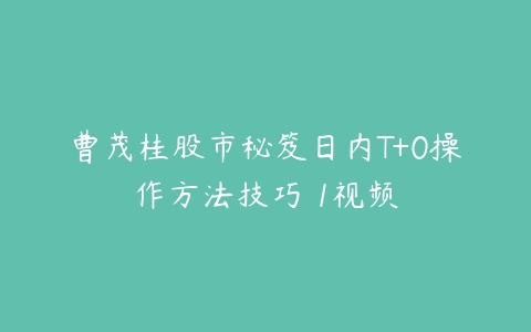 曹茂桂股市秘笈日内T+0操作方法技巧 1视频百度网盘下载