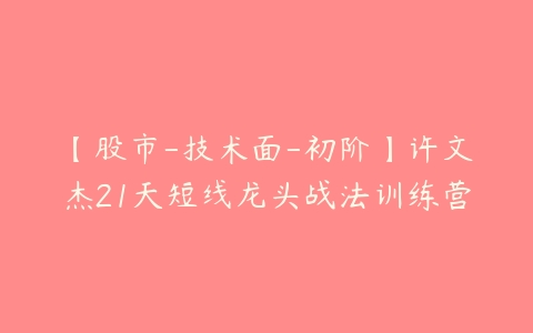 【股市-技术面-初阶】许文杰21天短线龙头战法训练营百度网盘下载