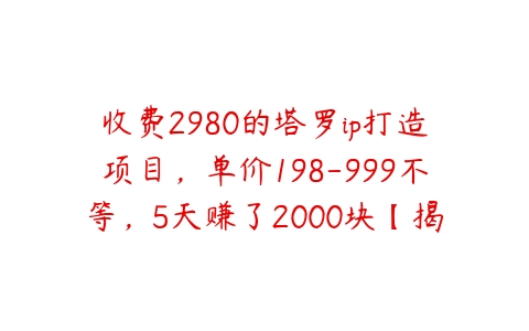 收费2980的塔罗ip打造项目，单价198-999不等，5天赚了2000块【揭秘】百度网盘下载
