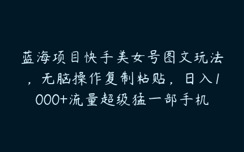 蓝海项目快手美女号图文玩法，无脑操作复制粘贴，日入1000+流量超级猛一部手机即可操作【揭秘】百度网盘下载