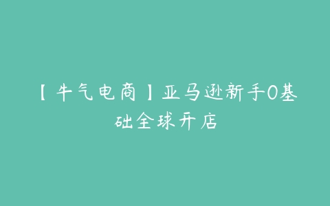 【牛气电商】亚马逊新手0基础全球开店百度网盘下载