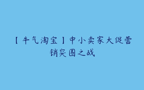 【牛气淘宝】中小卖家大促营销突围之战百度网盘下载