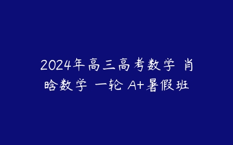 2024年高三高考数学 肖晗数学 一轮 A+暑假班百度网盘下载