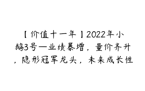 【价值十一年】2022年小鹅3号—业绩暴增，量价齐升，隐形冠军龙头，未来成长性巨大的一家公司百度网盘下载