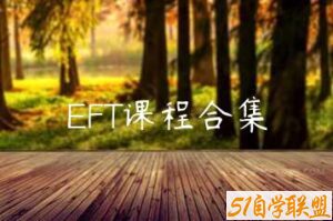 EFT课程合集-51自学联盟