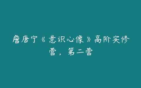 詹唐宁《意识心像》高阶实修营，第二营-51自学联盟